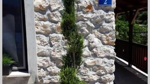 Ein Steinhaus mit einem Topf-Nadelbaum davor.