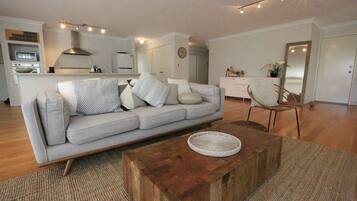 Smart TV, fireplace, DVD player, books
