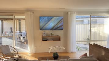 Smart TV, fireplace, DVD player, books
