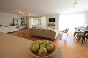 TV connectée, cheminée, lecteur de DVD, livres