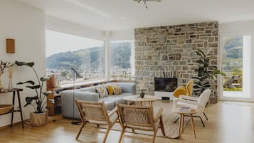 Smart TV, chimenea y libros