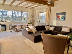 Smart TV, fireplace, books, stereo