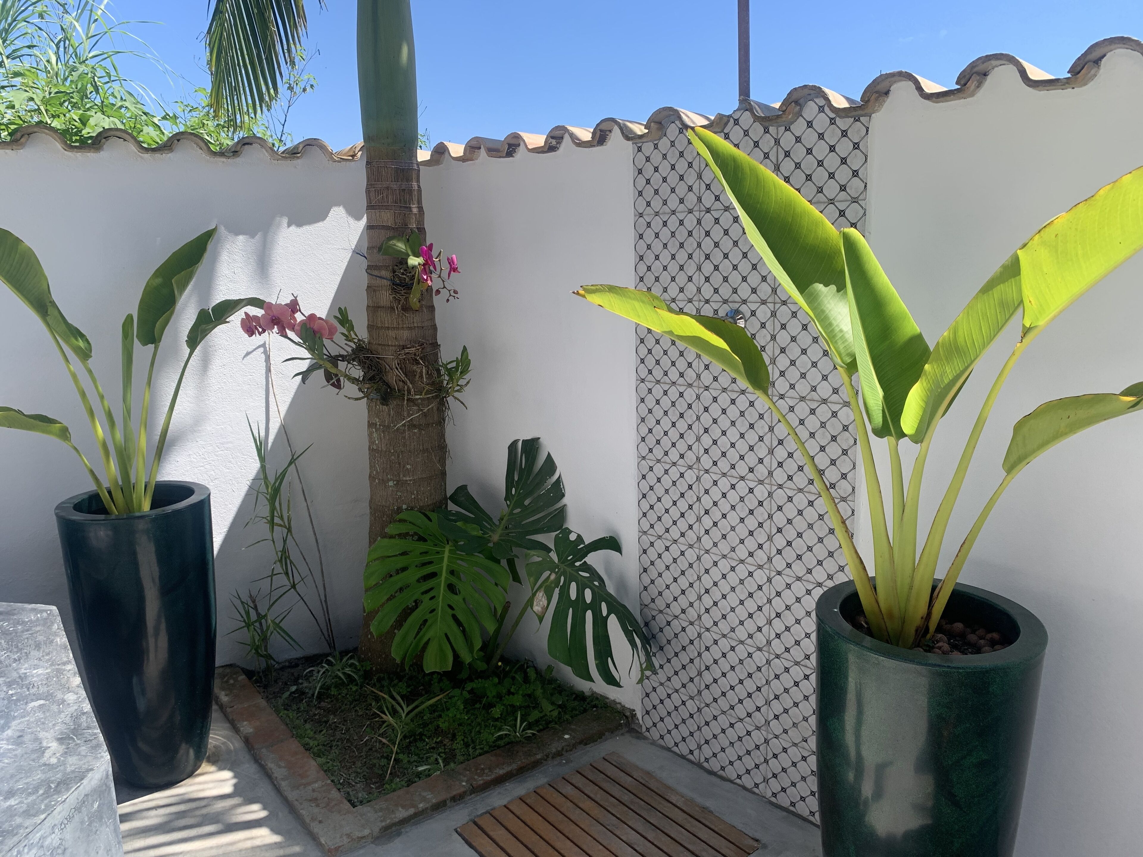 TV, streaming services