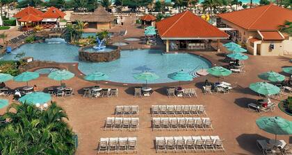 1 BR sleeps 4 on Beautiful Eagle Beach in Aruba