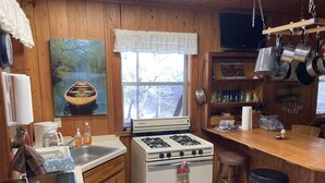 A kitchen with wooden walls, a stove, a sink, and a window with a view of trees. - Skip’s Rustic River Cabin near Okefenokee Swamp (Folkston)