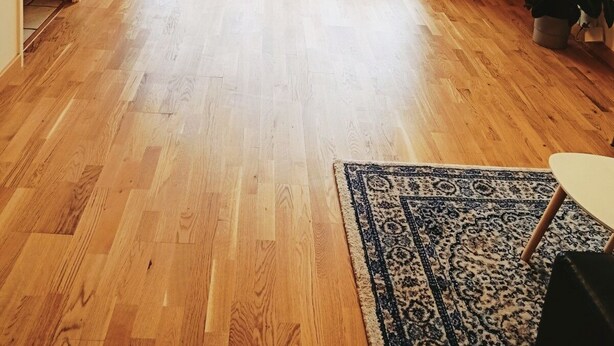 Une pièce spacieuse avec un plancher en bois, une grande porte-fenêtre coulissante donnant sur un espace extérieur, une petite table et une plante en pot.