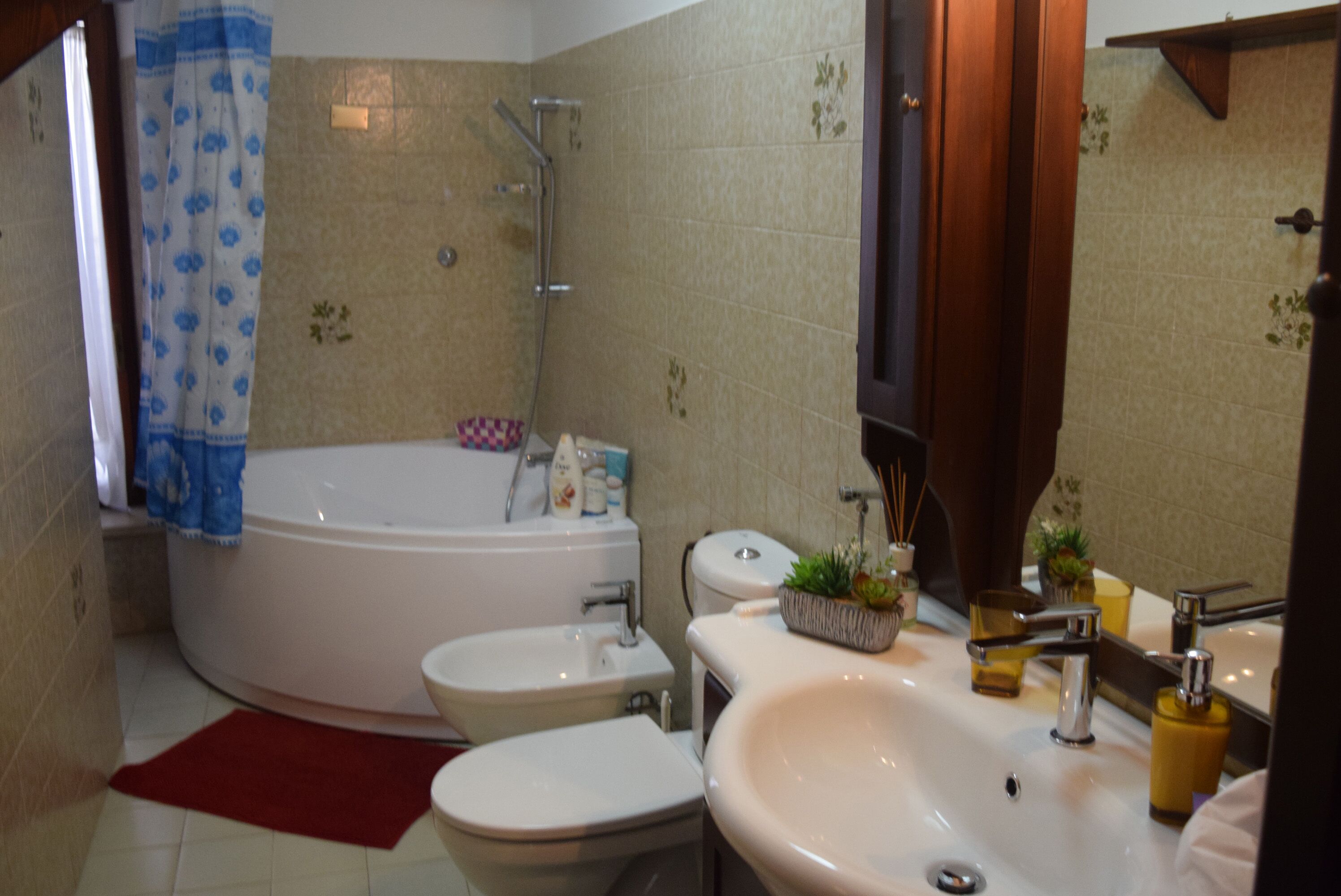 Combined shower/bathtub, jetted bath, hair dryer, bidet