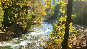 Ein Picknicktisch mit verschiedenen Speisen mit Blick auf einen Fluss.