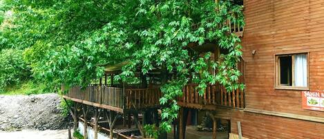 Economy Room | Exterior