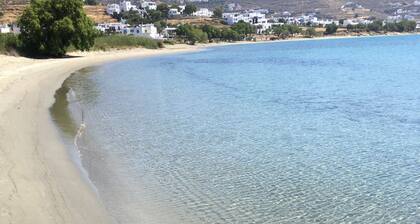 Tinos Agios Sostis Villa Filippos five (5) min walk to the beach - Pet Allowed