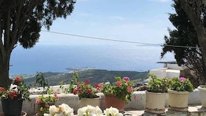 A terrace with potted plants and a view of the sea. - Tinos Agios Sostis Villa Filippos  five (5) min  walk to the beach - Pet Allowed (Agios Sostis Tinos)
