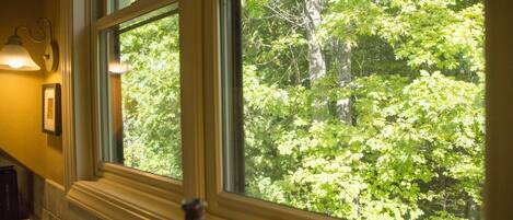 A window with a view of a forest.
