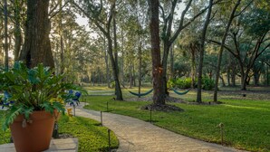 Un sendero pavimentado en un parque con árboles y una hamaca.