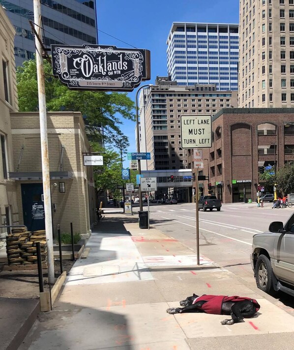 Front of property - Oaklands on 9th (Minneapolis)