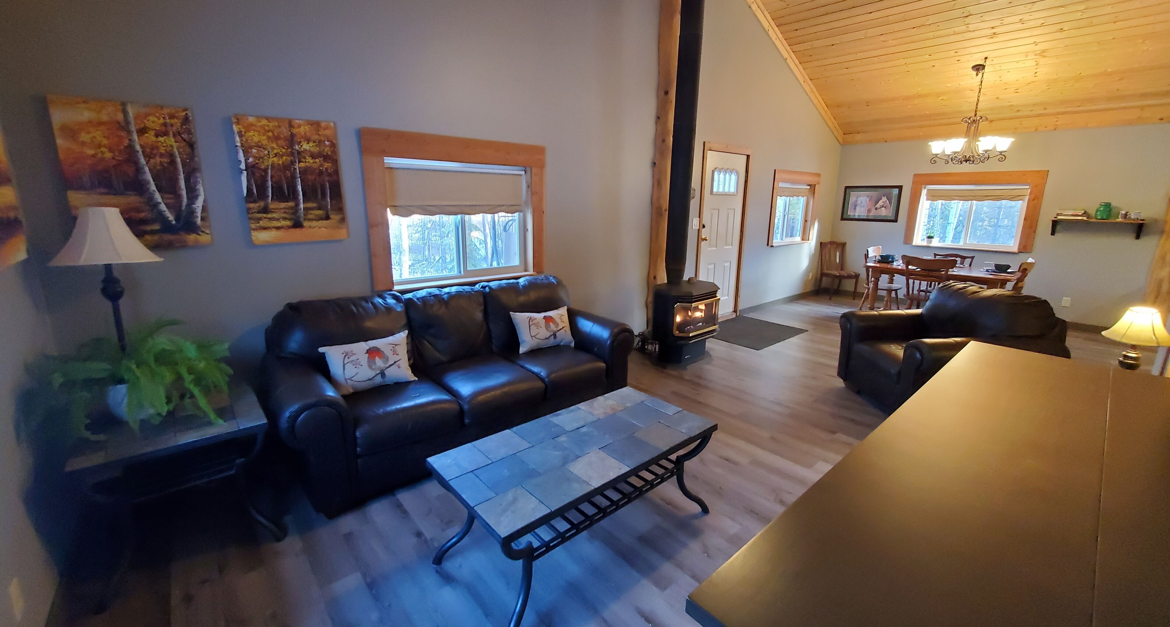 Mount Baldy - Song Bird Ranch - Birding Destination 