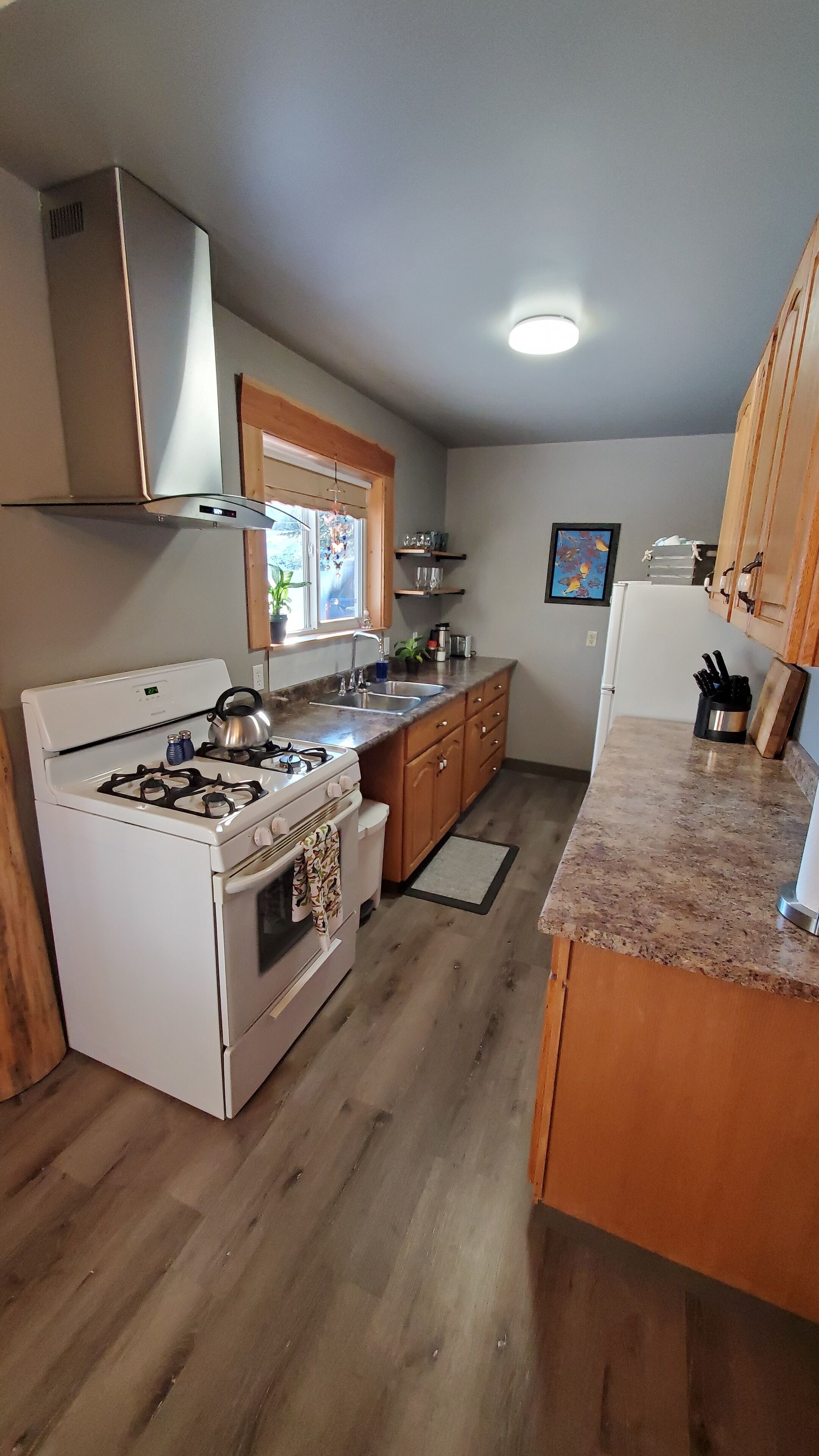 Mount Baldy - Song Bird Ranch - Birding Destination 