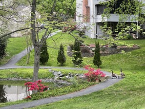 A residential area with a well-maintained lawn, a small pond, and a pathway leading to a house. - Lakeview - Tranquille and private suite Located 20 minutes from D.C (Burke)
