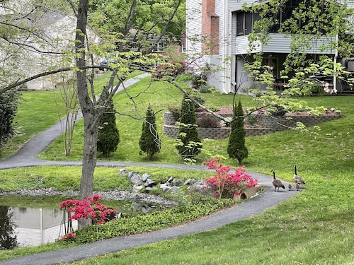 Lakeview - Tranquille and private suite Located 20 minutes from D.C