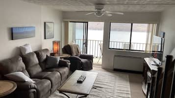 Smart TV, DVD player, books, stereo