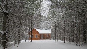 Una baita di legno circondata da alberi innevati.