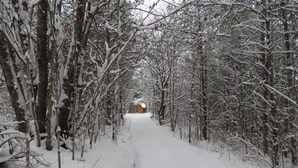 Sentiero innevato che conduce a una baita di legno.