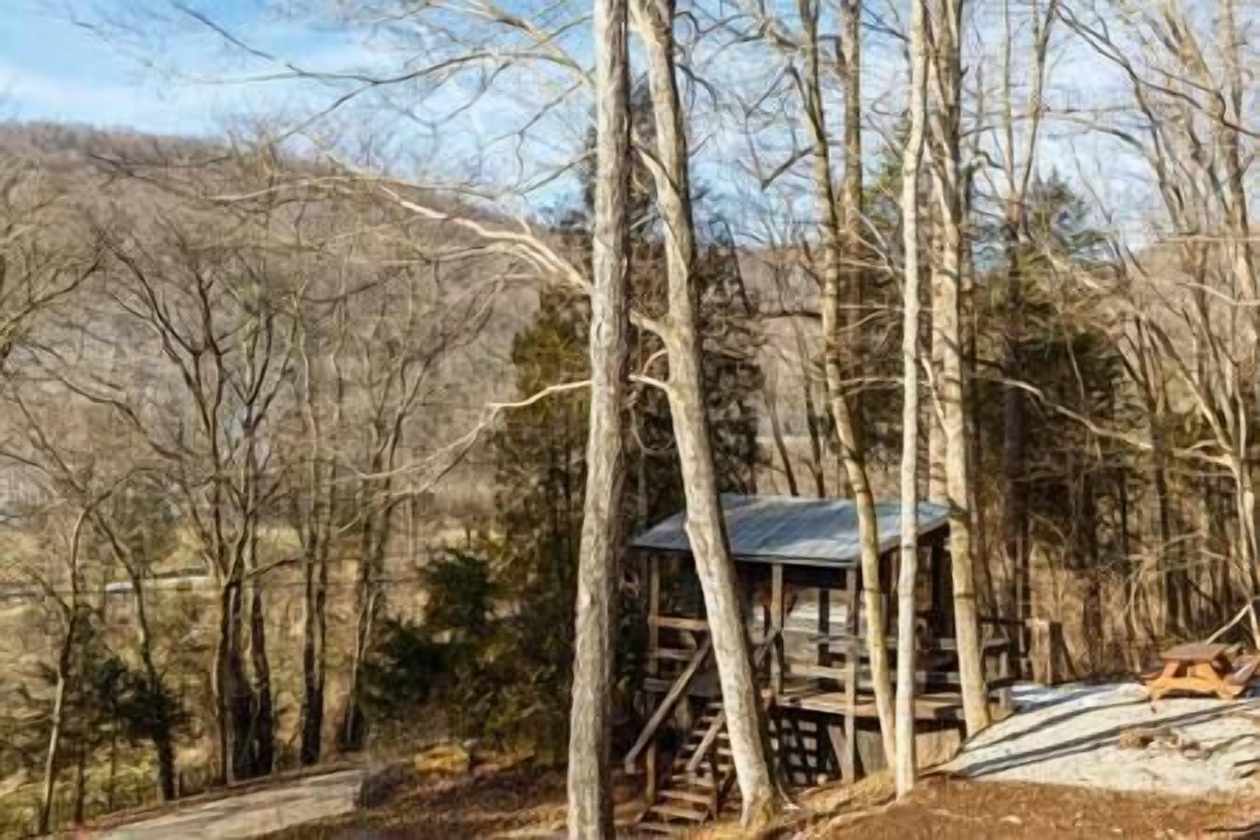 Une cabane rustique avec un toit en métal, entourée de grands arbres et située au pied d’une colline boisée.