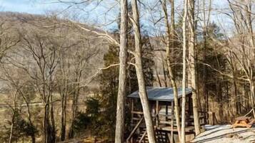 Une cabane rustique avec un toit en métal, entourée de grands arbres et située au pied d’une colline boisée.