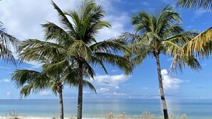 Una playa con palmeras, una mesa de madera y sillas.