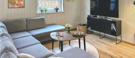 Fernseher, Kamin, DVD-Player, Tischtennisplatte