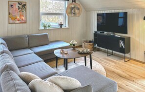 TV, fireplace, DVD player, table tennis