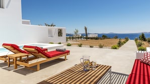 Un espace extérieur ensoleillé avec une piscine, des chaises longues, une table avec une carafe et des verres, et une vue sur la mer et les montagnes lointaines.