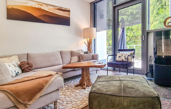 تلفزيون، مدفأة