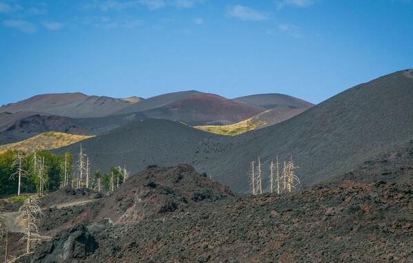 Un paysage volcanique accidenté, caractérisé par des collines arides et une végétation clairsemée.