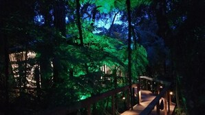 A wooden bridge in a forested area with ambient lighting. - DECK1920 (Cascavel)