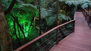 A wooden pathway through a forested area with green lighting. - DECK1920 (Cascavel)