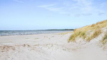 Playa en los alrededores
