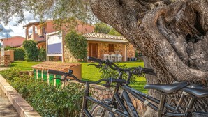 Ein Fahrrad steht in einem  üppigen Garten mit einer Steinmauer und einem großen Baumstamm im Vordergrund.