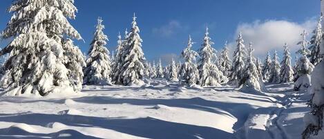 Sci e sport sulla neve