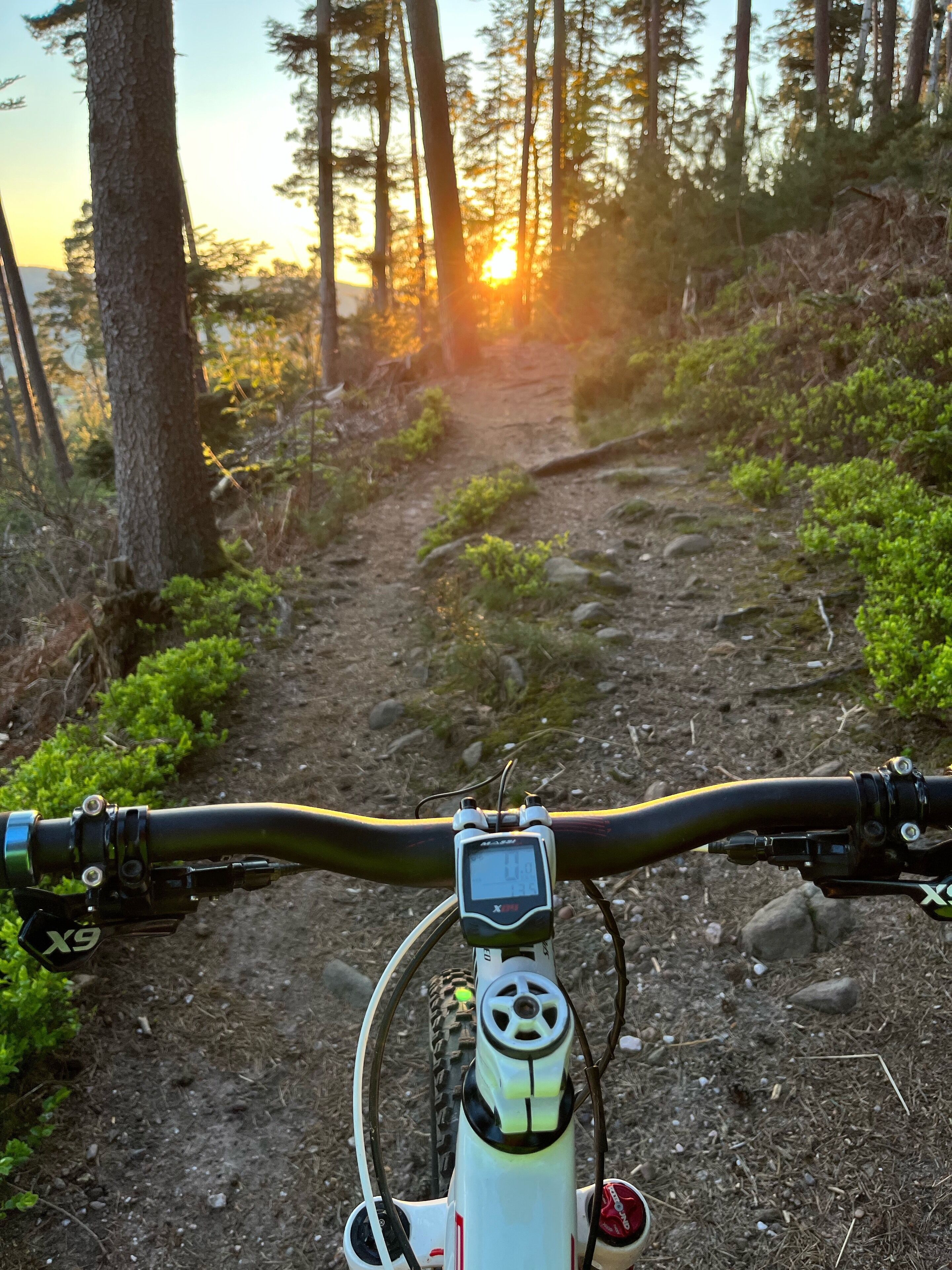 A mountain bike path with a digital display and a water bottle holder.