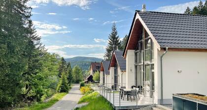 Awesome home in Lautenthal with sauna