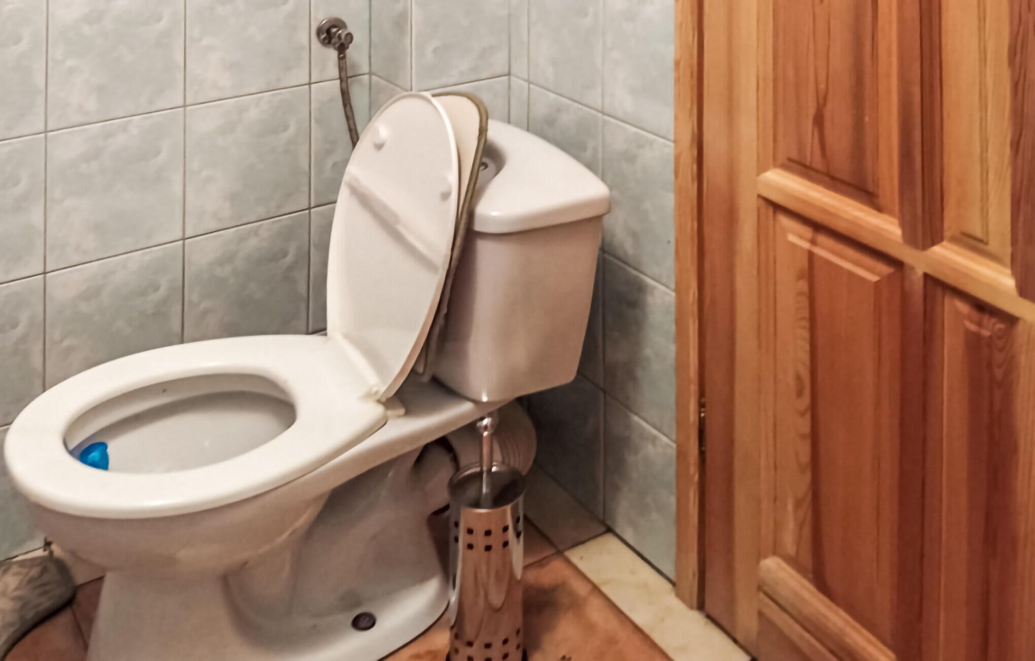 A toilet with a raised seat and a flush handle.