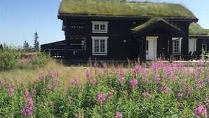 Een zwart huis met een groen dak en witte ramen.
