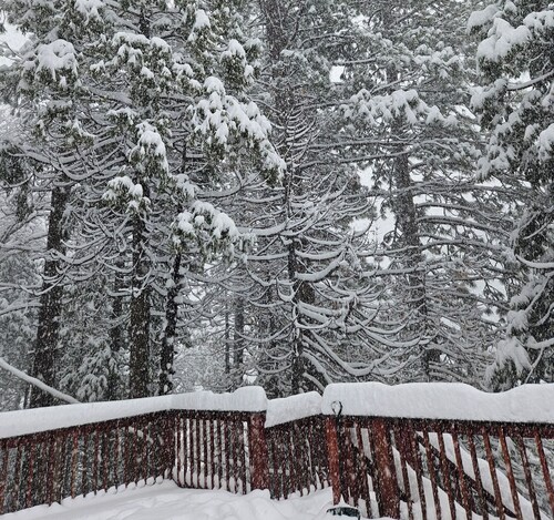 SNOW, SNOW & MORE SNOW AND SUGAR BEAR IS PLOWED! 12 MIN TO DODGE, 5 MIN TO SLED
