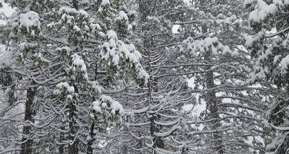 SNOW, SNOW & MORE SNOW AND SUGAR BEAR IS PLOWED! 12 MIN TO DODGE, 5 MIN TO SLED