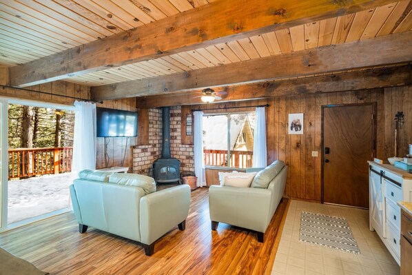 Televisión, chimenea, reproductor de DVD y libros 