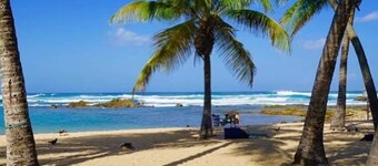 What a view! Oceanfront Studio, Superb Location, very central!