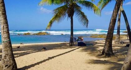 What a view! Oceanfront Studio, Superb Location, very central!