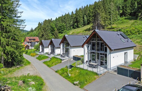 Gorgeous home in Lautenthal with sauna