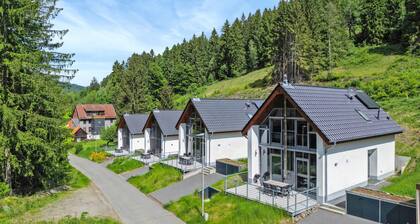 Gorgeous home in Lautenthal with sauna