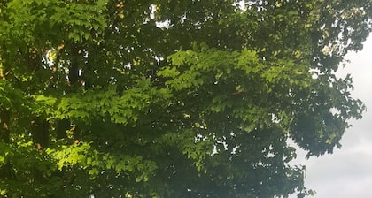 Stunning Lake Erie Waterfront